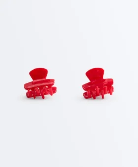 2 mini pinzas para el pelo